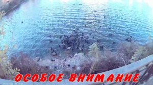 МАГАЗИН ДЛЯ ПОКУПОК