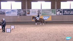 Basisarbeit mit Ingrid Klimke