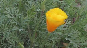 Учебная работа ИСТОРИИ В ПЯТИ КАДРАХ