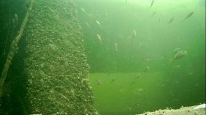 1000004660.mp4Волга гл.2м.12.10.2025г.