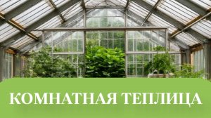 ФИТОВЫЙ.СВЕТ ДЛЯ ГЕРАНИ