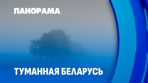 В Беларуси может быть до 70 туманных дней в году! Минск лидирует по областям. Панорама