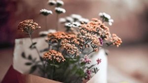 Доброе утро с пожеланиями хорошего дня бесплатно