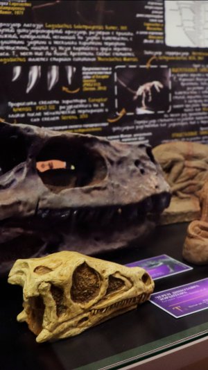 Открытие выставки Мир во время триаса 1 ноября 2025