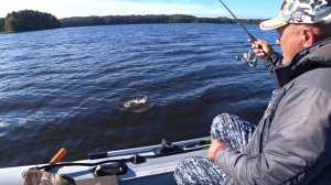 В поисках глубинного монстра 🎣