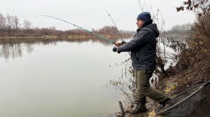 Ноябрьский мороз с утра, а САЗАН на Дону КЛЮЁТ!