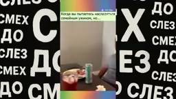 ✅ СМЕХОТЕРАПИЯ ДО СЛЁЗ 2025 😹