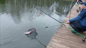 Рыбалка на нижнем водоёме. Клёвое место, Лосиный остров.