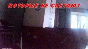 ВОЗМЕСТИТЬ ВРЕД