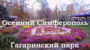 Осенний Симферополь. Гагаринский парк. Цветение хризантем