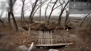 «самые хитрые» 200