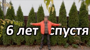 Шесть лет назад я посадил эти туи... Что с ними стало?