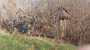 Дом соседки развалился. Дела житейские. Жарю грибы. Баранина на сковороде. Обед в, деревне