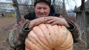 ВОТ ЭТО НАМ ПОДФАРТИЛО, ВКУСНЫЙ УЖИН, ПОВСЕДНЕВНАЯ ЖИЗНЬ