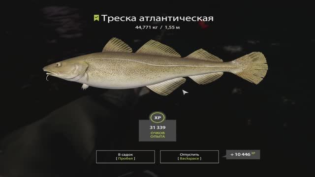 Русская рыбалка 4. Норвежское море смотреть онлайн