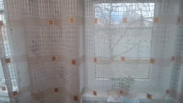 video5235856564534936425