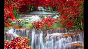 Скрипка и оркестр. Музыка Сергея Чекалина. Violin and orchestra. Music by Sergei Chekalin