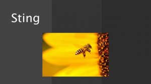 80 Irregular Verbs Song