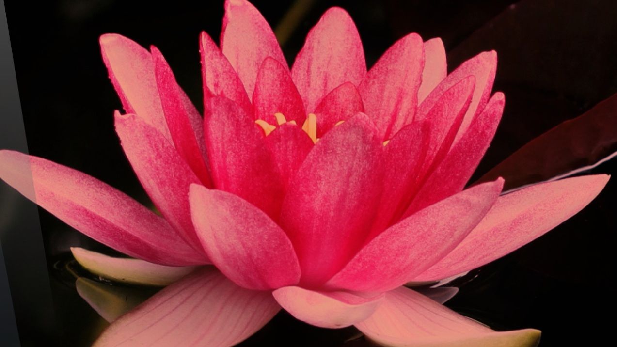 VA - Pure Bliss - Chillout Vibes for the Soul (2025)