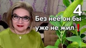 Без неё он бы уже не жил❗️