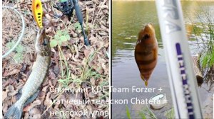 Простая формула удачной рыбалки