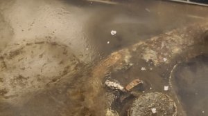 УЗ очистка замка капота Opel antara