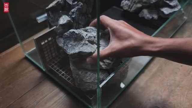 установка аквариума для рыб