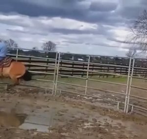 Грязное родео