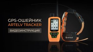 Работа с GPS-ошейником  ARTELV TRACKER: всё, что нужно знать.