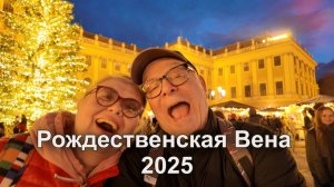 Рождество в Европу пришло в Ноябре? Рождественская Елка у дворца Шенбрунн в Вене!! Австрия