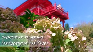 Краснодар. Японский сад. Окрестности храма Какэдзукури-но-Мидо ✅