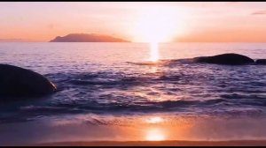 Ролевые забавы для настоящих мужчин #подкаст #мизантропшоу S07E65