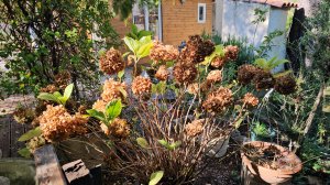 28-30 октября 2025. Красивый осенний сад, и на кухне тоже потолчёмся. 😊