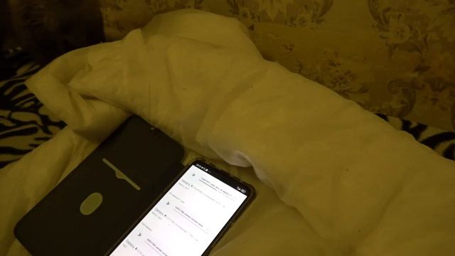 Реакция котов на звуки котов смотреть онлайн