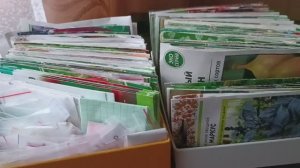 Перебираю семена, шуршу пакетиками