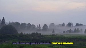 Деньги в авто Усольцевых не дали следствию версию их пропажи под Красноярском