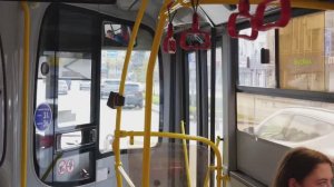 Зелёный автобус