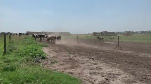 Уеду в Мексику