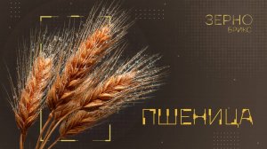 «Зерно БРИКС». Пшеница