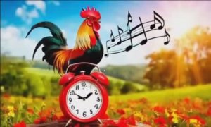 ДОБРОГО УТРА,ЧЕТВЕРГ!