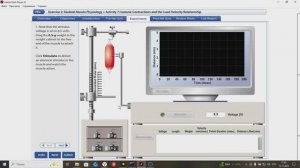 Мышцы-Нагрузка_ФизиоЭксп-9