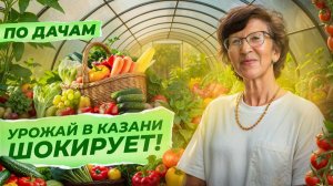 703. По дачам! Сезон 3 серия 2 - Урожай-Гигант в Казани