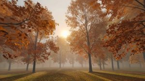 Смысл жизни в себе открываю вновь...