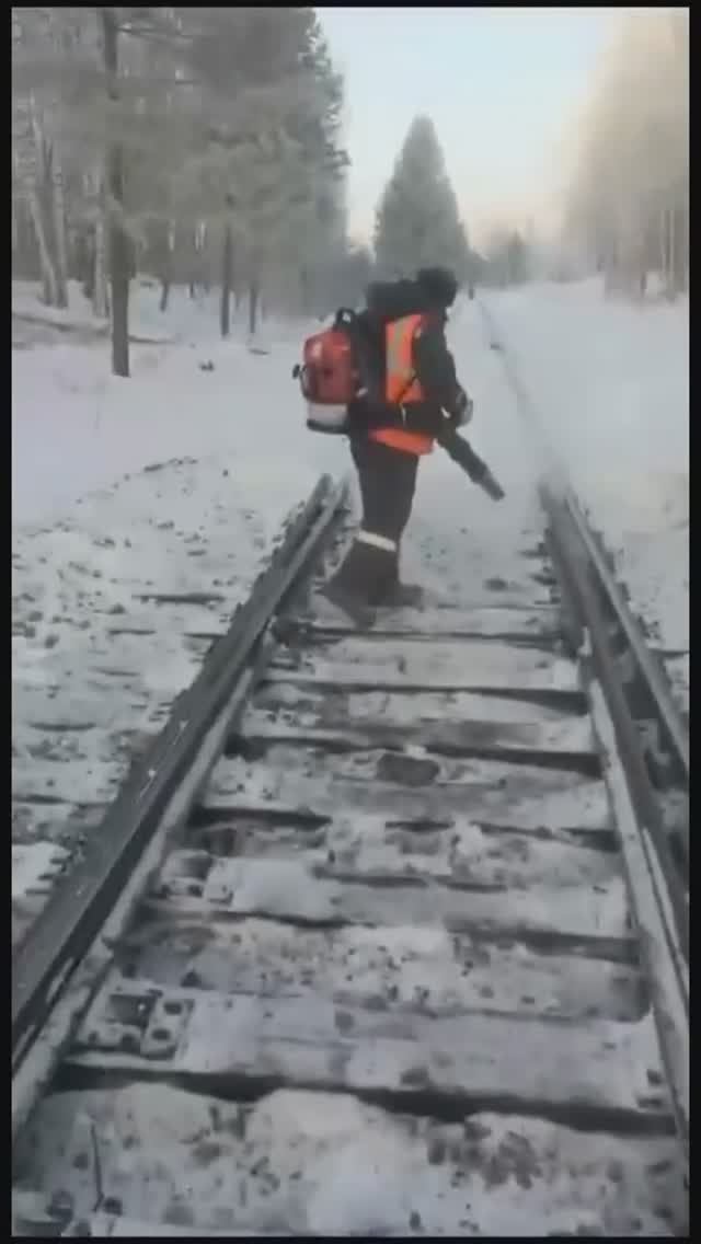 Воздуходувка бензиновая ранцевая железнодорожная ZDM BR-800 3,5 кВт (ЖЕЛДОРМЕХАНИКА) смотреть онлайн