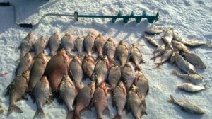 Рыбалка в Сибири на Братском Новые Выпуски