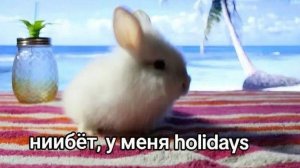 Субботний туллинг / Stay Out