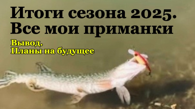 Отчет по приманкам 2025 Воблеры Джиг тейл спиннеры блёсна