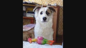 Видеозарисовка - Лето.Жарко.