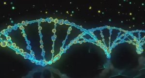 ... Генная Инженерия - Что мы знаем о ней....