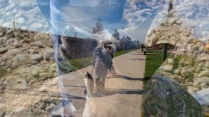 Проект ГУ МВД России по Краснодарскому краю "Полицейские в теме"  - 2